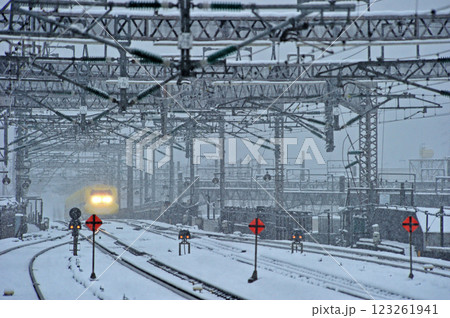 東海道新幹線　小田原　JR西日本　923形3000番台　T5編成（博多）　ドクターイエロー 123261941
