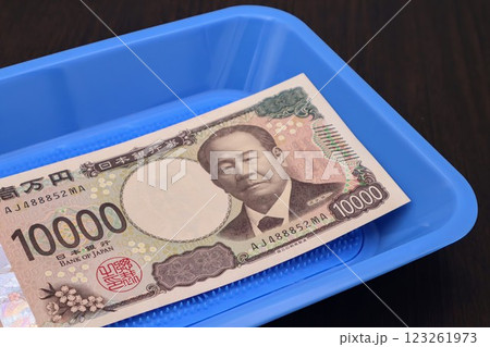 トレーの上に日本の新一万円札 トレーの上に日本の新一万円札 123261973