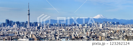 「東京都」東京の街並みと富士山の風景　都市風景 123262124