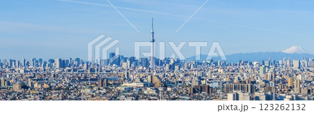 「東京都」東京の街並みと富士山の風景　都市風景 123262132
