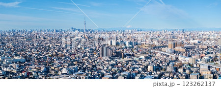 「東京都」東京の街並みと富士山の風景 都市風景 「東京都」東京の街並みと富士山の風景 都市風景 123262137