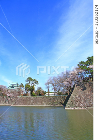 愛知県名古屋市、満開の桜と名古屋城の風景 愛知県名古屋市、満開の桜と名古屋城の風景 123262174