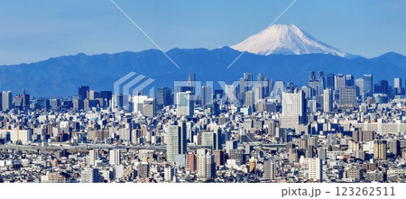 「東京都」東京の街並みと富士山の風景　都市風景 123262511