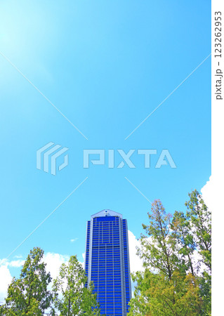 兵庫県神戸市、神戸市役所と新緑の風景 123262953