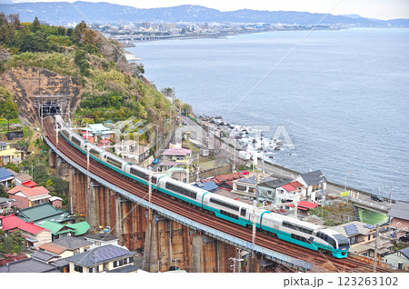 東海道本線 早川-根府川 JR東日本 251系(大宮) スーパービュー踊り子 東海道本線 早川-根府川 JR東日本 251系(大宮) スーパービュー踊り子 123263102