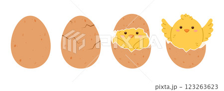 Chicken hatching from egg. Cute yellow chick cracking eggshell. Flat vector isolated illustration 123263623