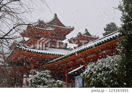 神苑から眺む白虎楼・西歩廊と吹雪（平安神宮） 123263891