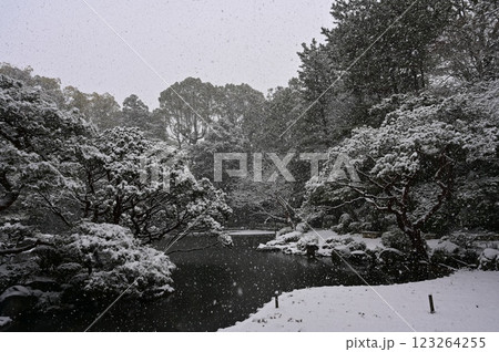 神苑の吹雪と池（平安神宮） 123264255