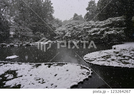 神苑の吹雪と池（平安神宮） 123264267