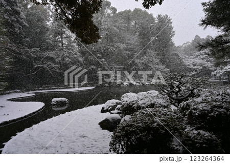 神苑の吹雪と池（平安神宮） 123264364