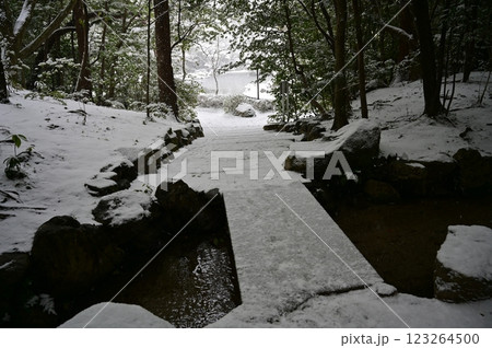 西神苑と中神苑を繫ぐ小川の積雪(平安神宮) 西神苑と中神苑を繫ぐ小川の積雪(平安神宮) 123264500