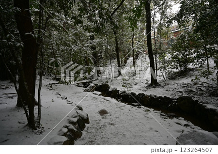 西神苑と中神苑を繫ぐ小川の積雪（平安神宮） 123264507