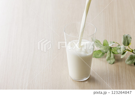 グラスに注いだ牛乳 グラスに注いだ牛乳 123264847