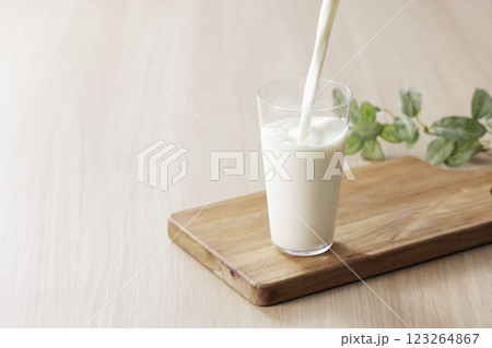 グラスに注いだ牛乳 123264867