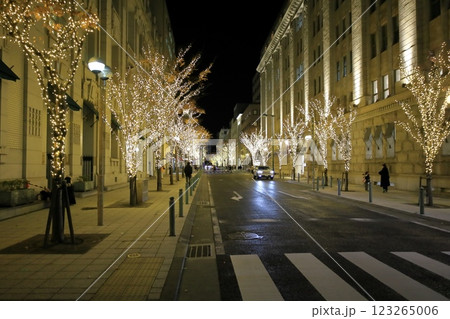 神戸 美しいイルミネーション 神戸 美しいイルミネーション 123265006