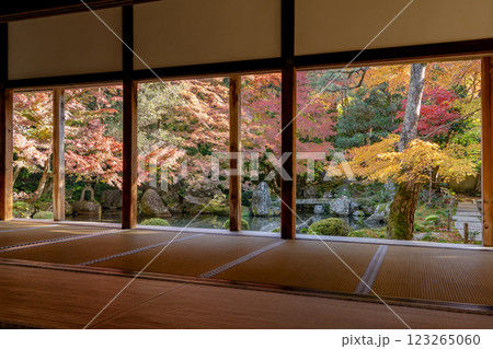 京都洛北　高野川（若狭路）蓮華寺　池泉鑑賞式庭園の紅葉（書院からの眺め） 123265060