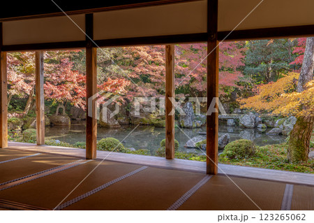 京都洛北 高野川(若狭路)蓮華寺 池泉鑑賞式庭園の紅葉(書院からの眺め) 京都洛北 高野川(若狭路)蓮華寺 池泉鑑賞式庭園の紅葉(書院からの眺め) 123265062