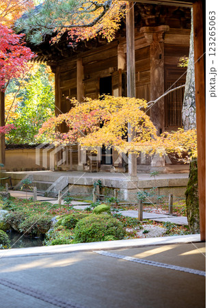 京都洛北　高野川（若狭路）蓮華寺　本堂と紅葉（書院からの眺め） 123265063