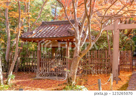 京都洛北　高野川（若狭路）蓮華寺　境内の紅葉（銀杏ともみじ） 123265070