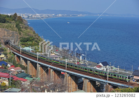 東海道本線　早川－根府川　JR東日本　E217系　F編成（国府津） 123265082