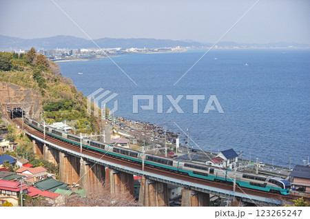 東海道本線　早川－根府川　JR東日本　251系（大宮）　スーパービュー踊り子 123265247