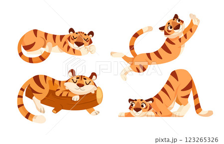 Cute Tiger Cub with Striped Orange Fur in Different Pose Vector Set 123265326