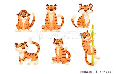 Adult Tiger with Striped Coat in Different Pose Vector Set 123265331