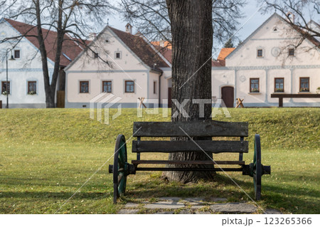 Wooden bench under a tree, Holasovice, Czechia Wooden bench under a tree, Holasovice, Czechia 123265366