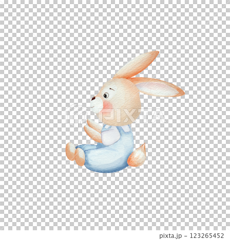 Cute watercolor bunny in a blue overalls sits. Watercolor illustration, isolated on a white background, hand drawn. For children's birthday party, card design, invitations Cute watercolor bunny in a blue overalls sits. Watercolor illustration, isolated on a white background, hand drawn. For children's birthday party, card design, invitations 123265452