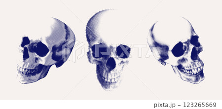 Three Halftone Vector Skulls Isolated 123265669