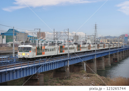 東海道本線　平塚－茅ヶ崎　JR東日本　185系　A3編成（大宮）　回送 123265744