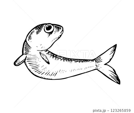 Hand drawn vector illustration of anchovy fish in black and white. Isolated sketch with vintage engraving details, perfect for seafood and marine life designs. With a silhouette on the background 123265859
