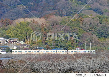 御殿場線　上大井－下曽我　JR東海　313系（静岡） 123266021