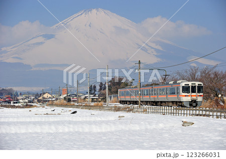 御殿場線 御殿場-足柄 JR東海 313系 N3編成(静岡) 御殿場線 御殿場-足柄 JR東海 313系 N3編成(静岡) 123266031