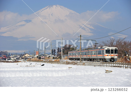 御殿場線 御殿場-足柄 JR東海 313系 N8編成(静岡) 御殿場線 御殿場-足柄 JR東海 313系 N8編成(静岡) 123266032