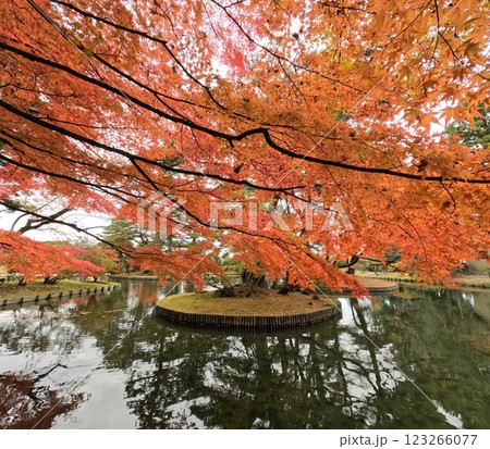 有備館の紅葉 有備館の紅葉 123266077