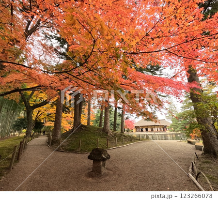 有備館の紅葉 123266078