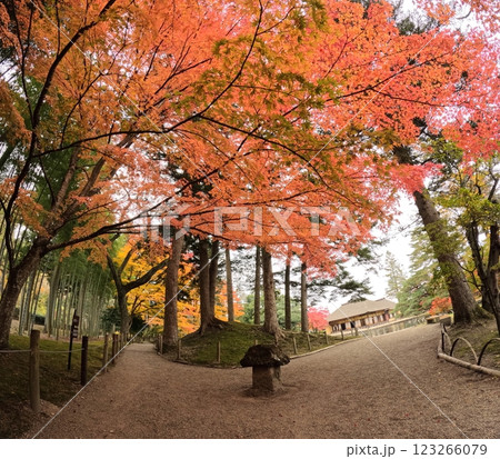 有備館の紅葉 有備館の紅葉 123266079