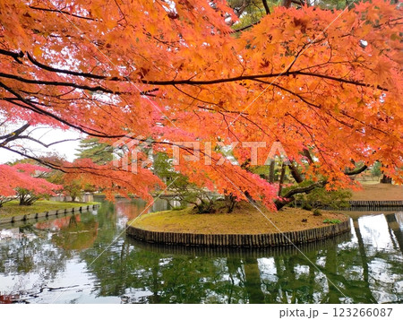 有備館の紅葉 有備館の紅葉 123266087