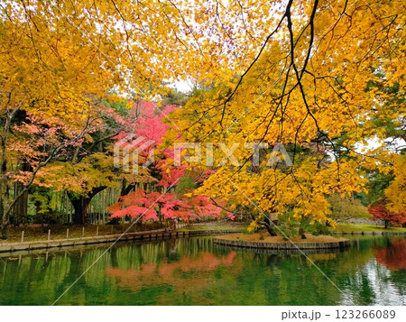 有備館の紅葉 123266089