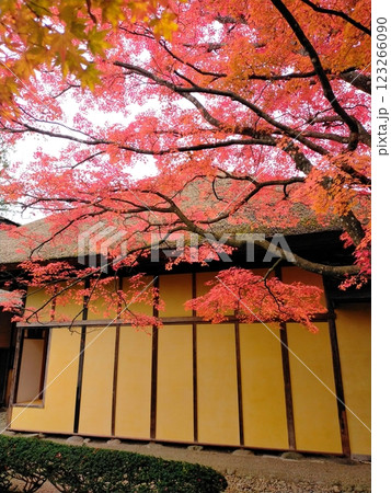 有備館の紅葉 有備館の紅葉 123266090