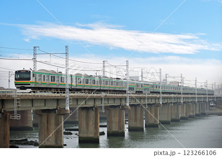 東海道本線　茅ヶ崎－平塚　JR東日本　E231系1000番台 123266106
