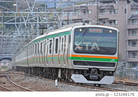 東海道本線 真鶴 JR東日本 E231系1000番台 東海道本線 真鶴 JR東日本 E231系1000番台 123266176