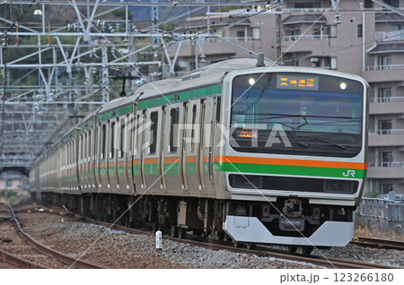 東海道本線　真鶴　JR東日本　E231系1000番台　S-28編成（国府津） 123266180