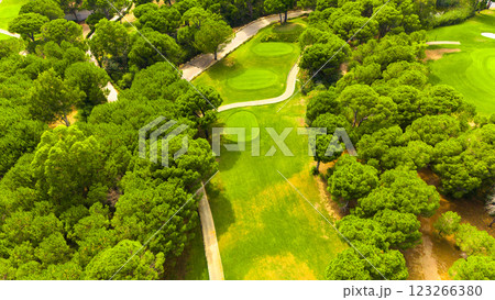 Aerial view of a golf course surrounded by lush trees and winding paths 123266380