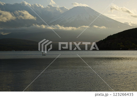 白鳥と富士山の大きさを感じられる 123266435