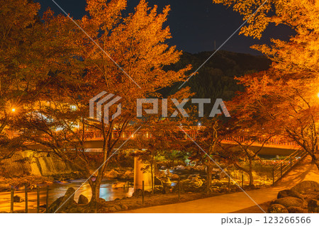 豊田市の秋の香嵐渓のライトアップされた紅葉の風景(愛知県) 123266566