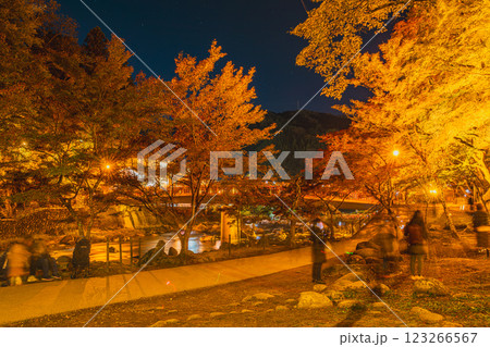 豊田市の秋の香嵐渓のライトアップされた紅葉の風景(愛知県) 豊田市の秋の香嵐渓のライトアップされた紅葉の風景(愛知県) 123266567