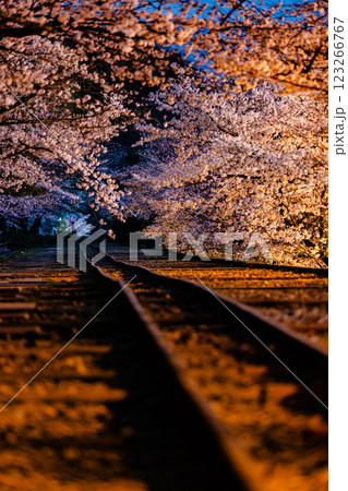 京都府　蹴上インクライン・桜風景　 123266767