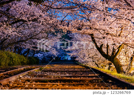 京都府 蹴上インクライン・桜風景 京都府 蹴上インクライン・桜風景 123266769